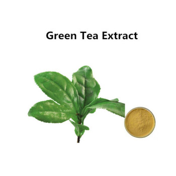 Экстракт зеленого чая, 50 грамм